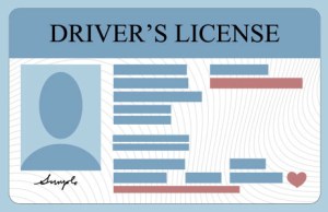 Driver's License