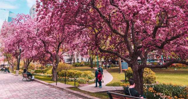 e4d66b91da7bc61809069c75c5a42492a76bedce.jpg_1200x630